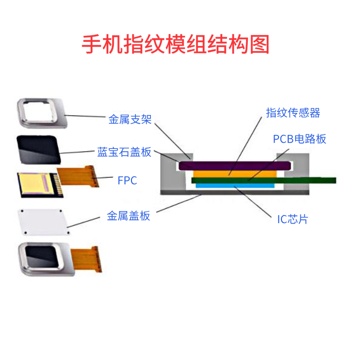 手机指纹模组结构图